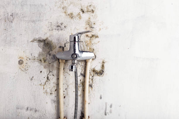 Best Office Mold Removal Services  in Warsaw, IL