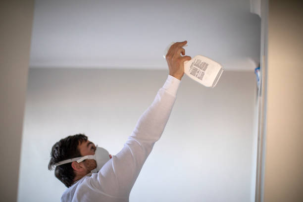 Best Mold Remediation  in Warsaw, IL