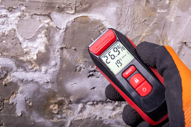 Warsaw, IL Mold Removal Company
