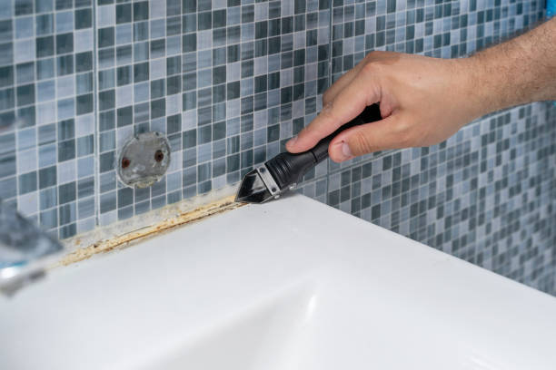 Best Local Mold Removal Service  in Warsaw, IL